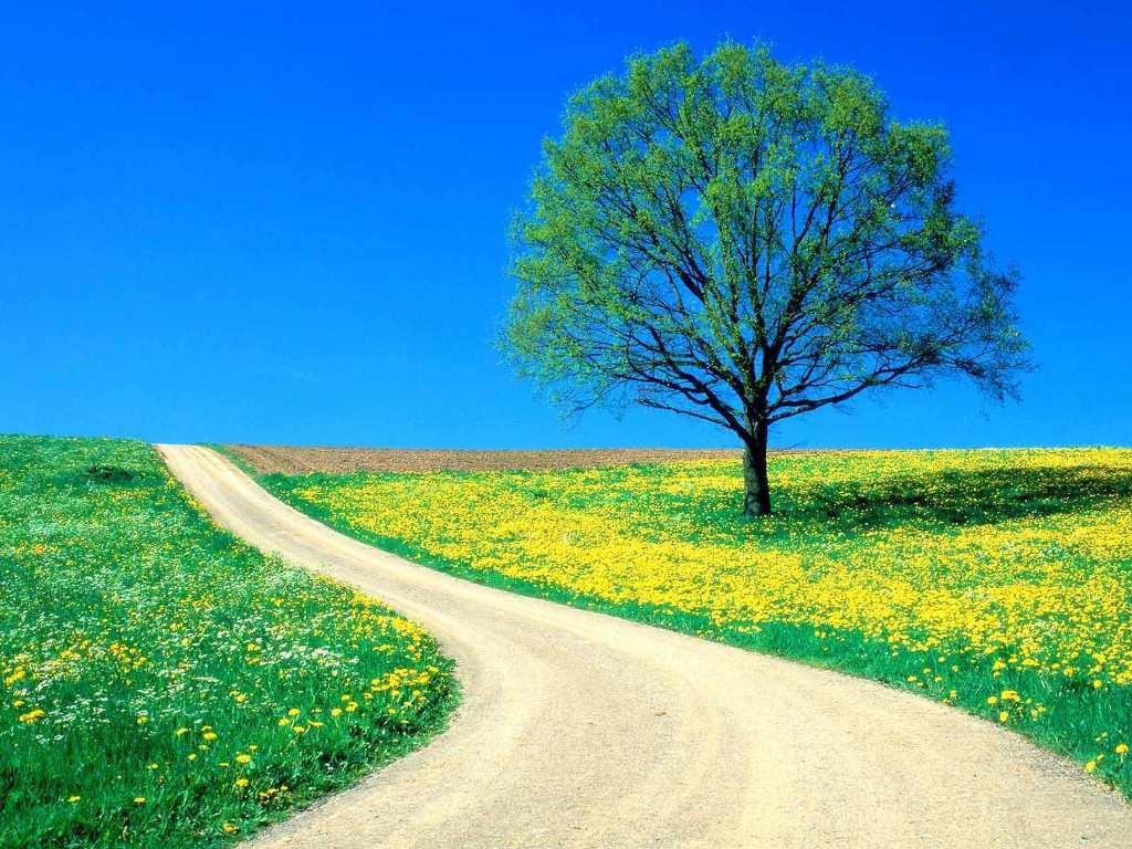 دورة حضورية لرغد - للاختبار فقط